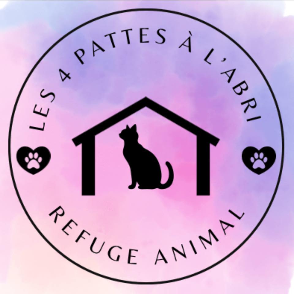 Les 4 pattes à l'abri